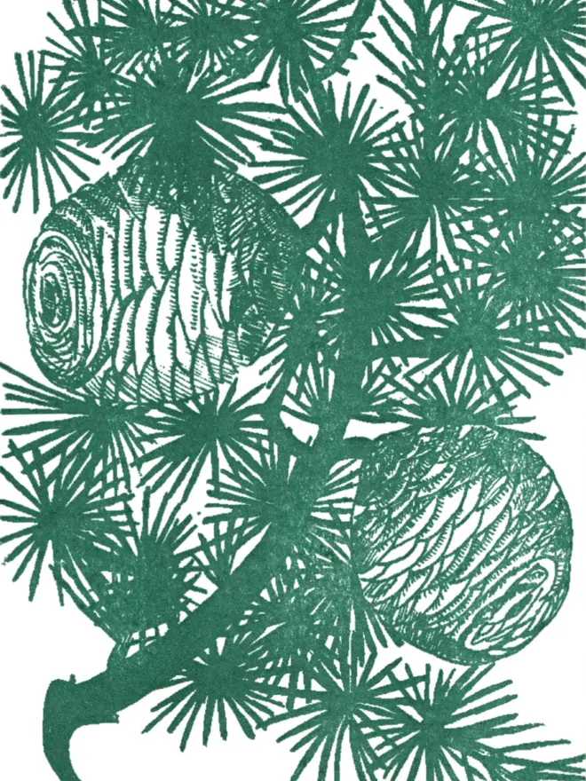 Close up of design on front of card. Flat shaded monochrome dark green design of cedar branch.