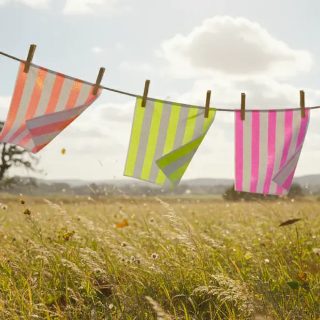 one yellow and one pink striped napkin, both hanging on a clothesline in the middle of a wheatfield