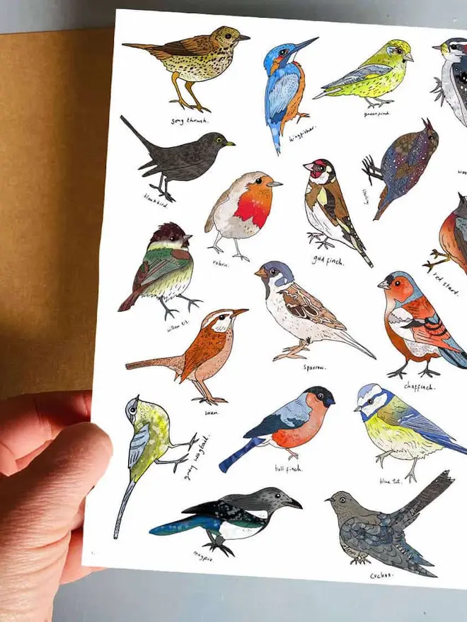 Animal Temporary Tattoos, a "Birds" booklet sits next to a sheet of colourful ocean animal temporary tattoos.
