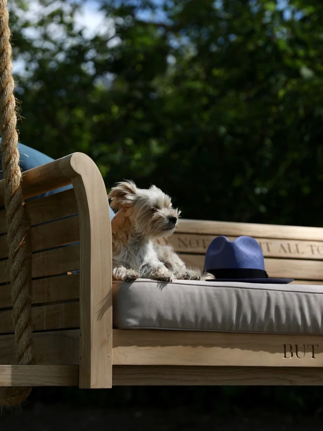 Dog sitting on a swing bench or porch bench