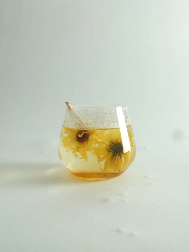 Fleurs-d-hiver-marigold-in-cup