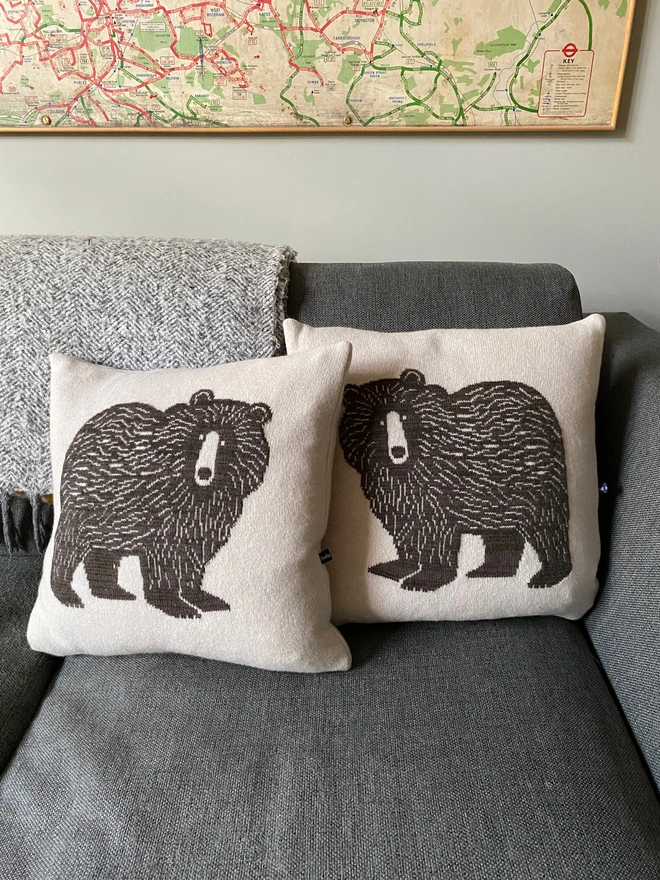 Pair of Cushions