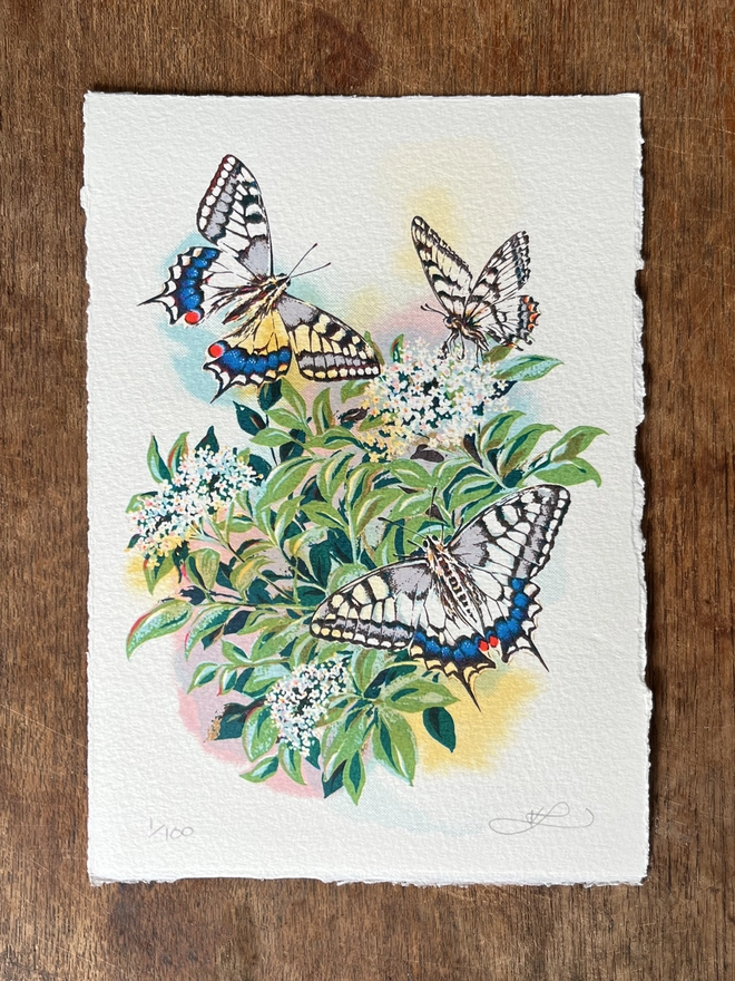 Happy Hour Hand Finished Butterfly Screenprint