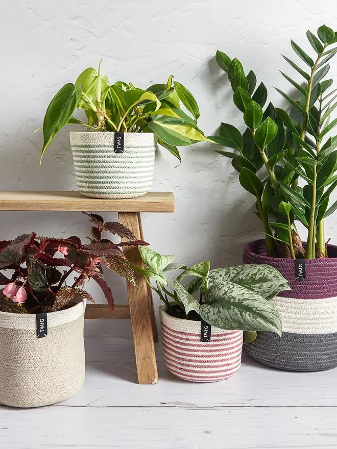 Small Striped Cotton Pot