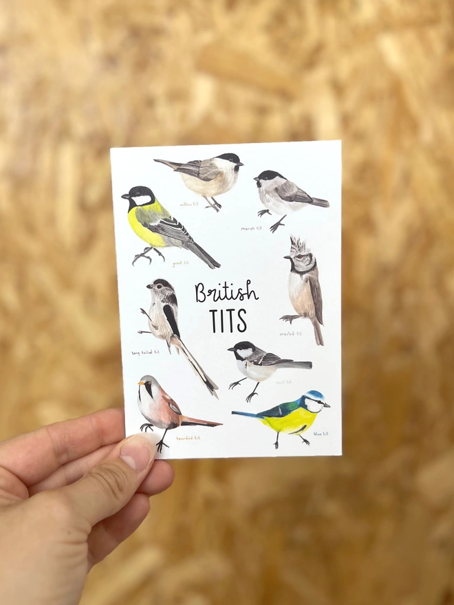 a greetings card featuring tit birds found in Britain and the words “British Tits”