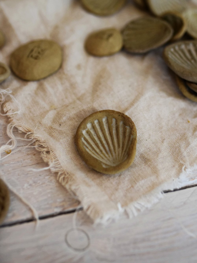 stoneware sea shell trinket