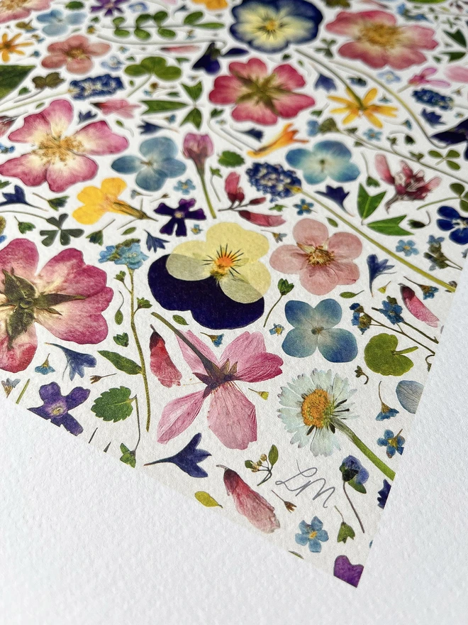 Close up of Pressed floral digital print on a light background. 