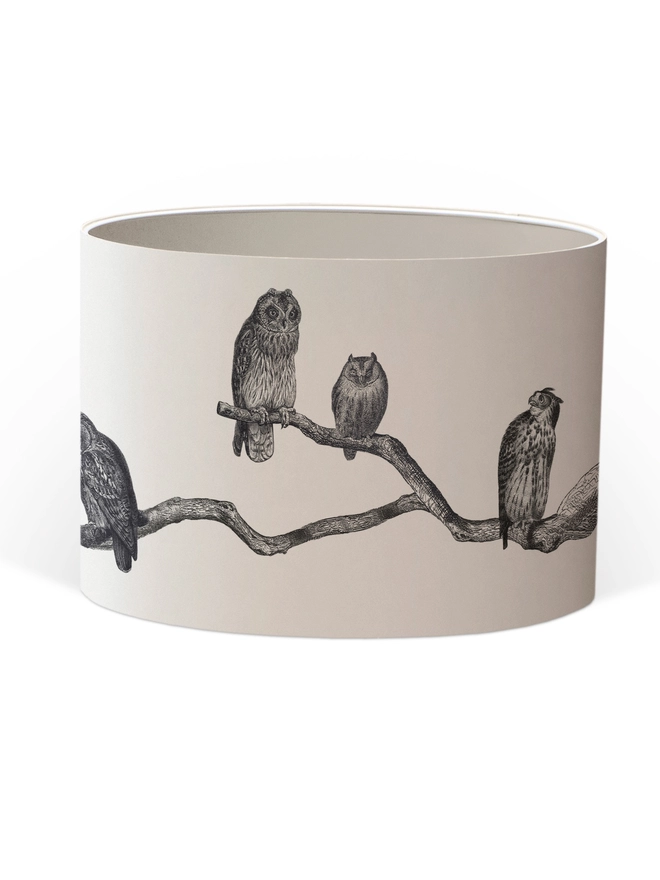 Handmade vintage owl lampshade featuring a parliament of illustrated owls perched together, created from antique animal etchings with monochrome details