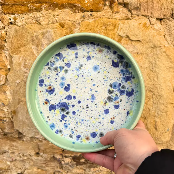 Shoreline Pasta Bowl, a colourful bowl held against a brick backdrop. 