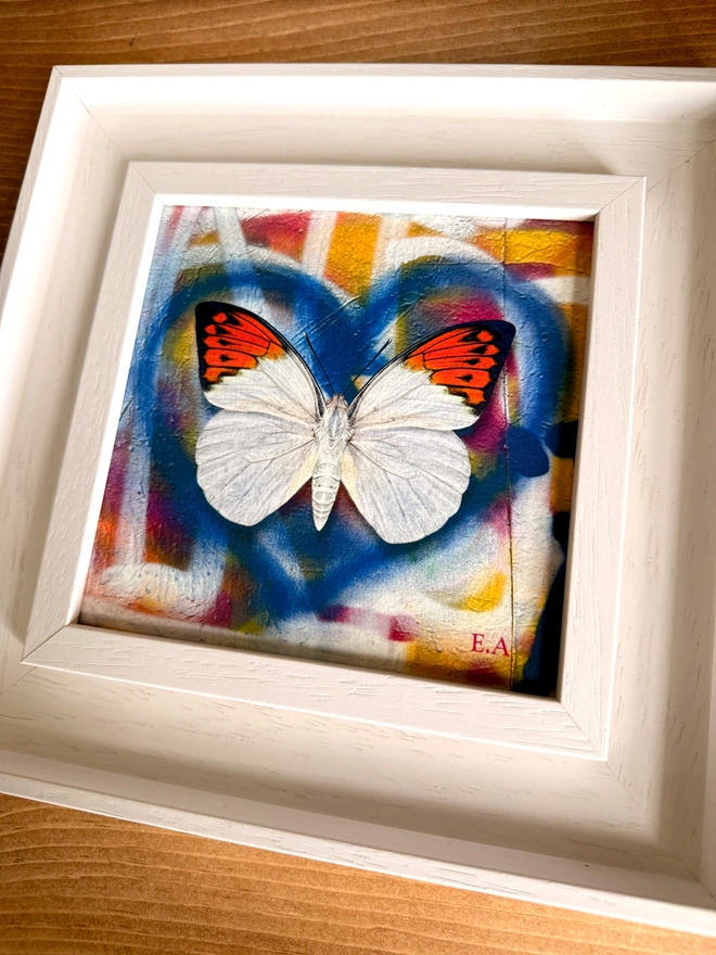 A photo of a square artwork showing a blue spray paint heart on a multi coloured spray paint background. A white orange tip butterfly sits centrally in the heart. The frame is a white frame with no glass and ready to hang.