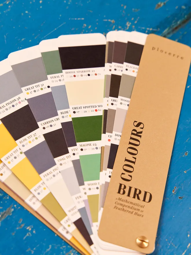 Bird Colours Book 