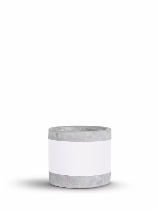 coloured middle concrete plant pot. a grey concrete plant pot with a white stripe around the middle.
