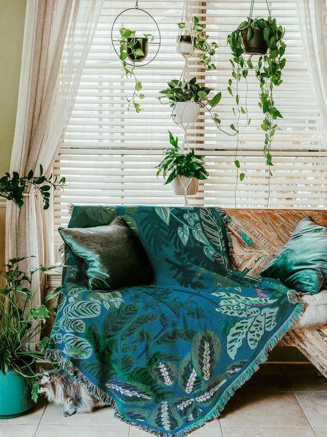 Indoor Jungle Window by Arcana seen in a sitting room with hanging plants above.