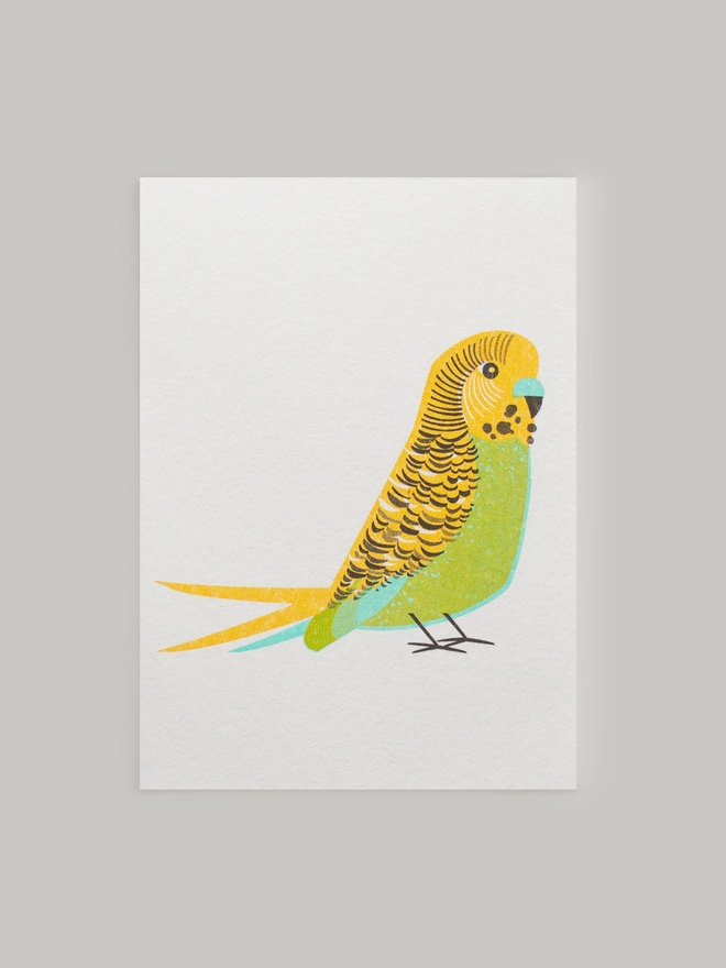 A bright and cheery, characterful little budgie in beautifully vibrant greens and yellows is risograph printed onto this sweet little mini greeting card. Comes complete with a contrasting envelope and is blank inside.