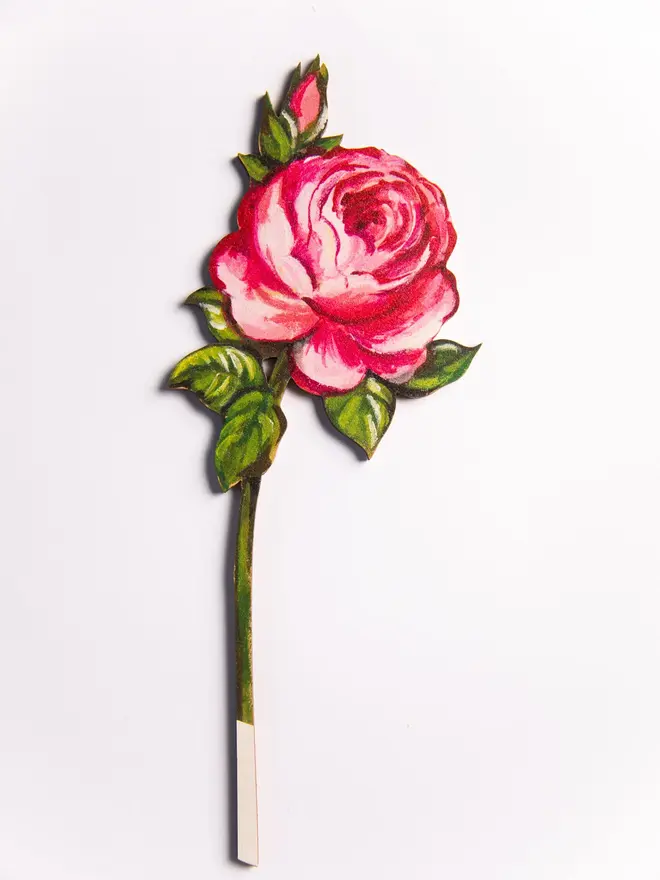 Pink rose stems