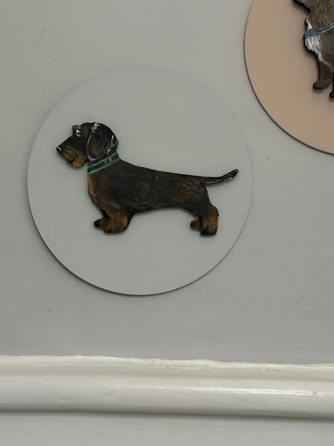 Wire Haired Dachshund painting on  circular painted background