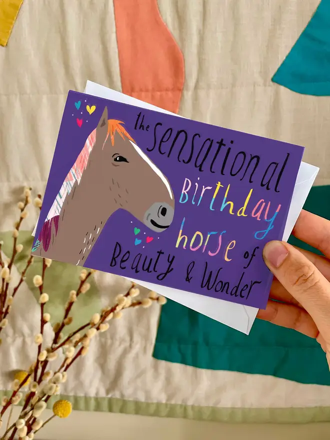 The sensational birthday horse