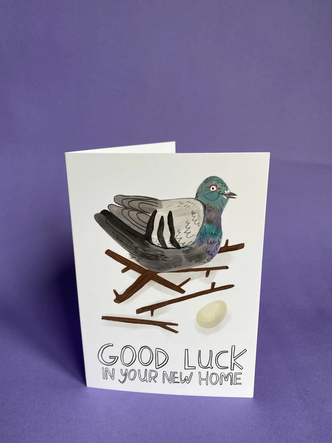 Pigeon in terrible nest of twigs with an egg - illustration reads good luck in your new home, A6 greeting card 