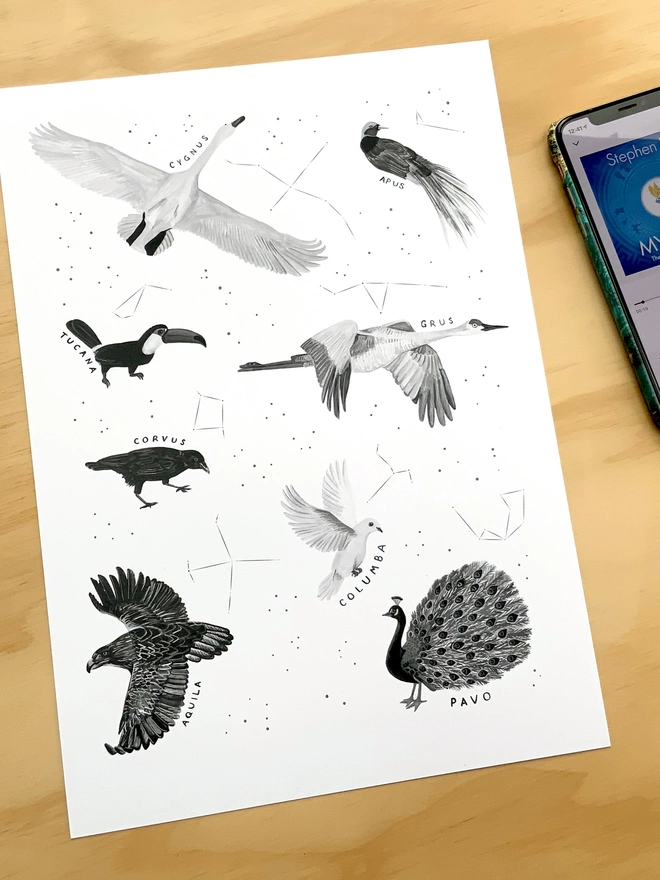 a print with a white background featuring a selection of black and white birds who appear in constellations, alongside the star constellation image