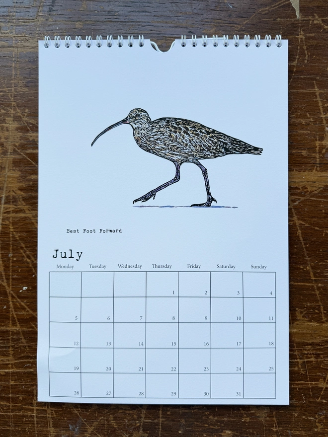 Best Foot Forward Curlew for July