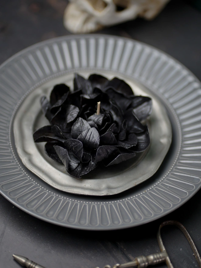 The Corvus Bloom - Collector's Edition