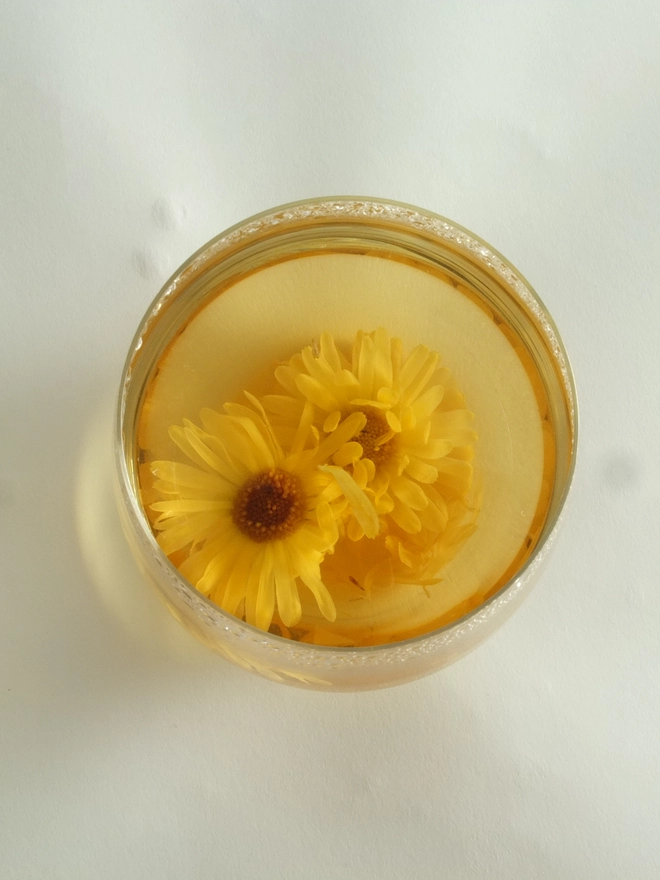 Fleurs-d-hiver-marigold-infused