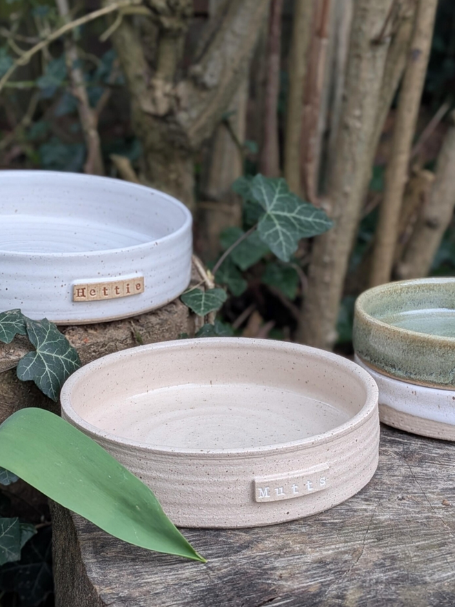Stoneware Pet Bowl. A selection of pet bowls. (Left-Right Rustic White, Raw Speckle, Meadow Green, Shoreline)