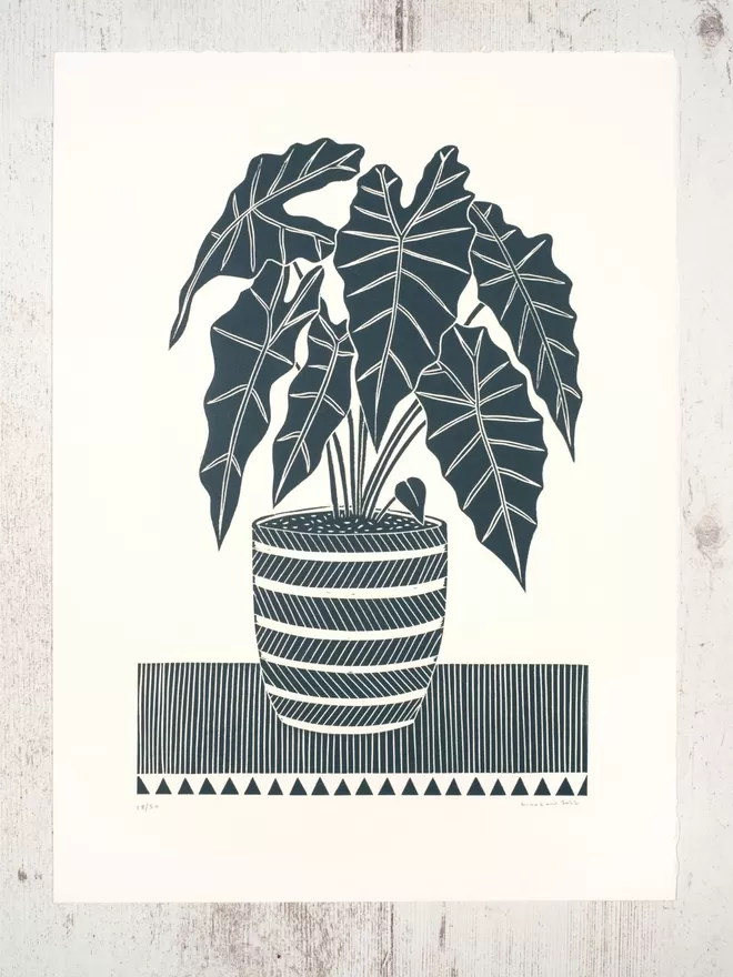 Picture of an African Mask Plant, taken from an original Lino Print 