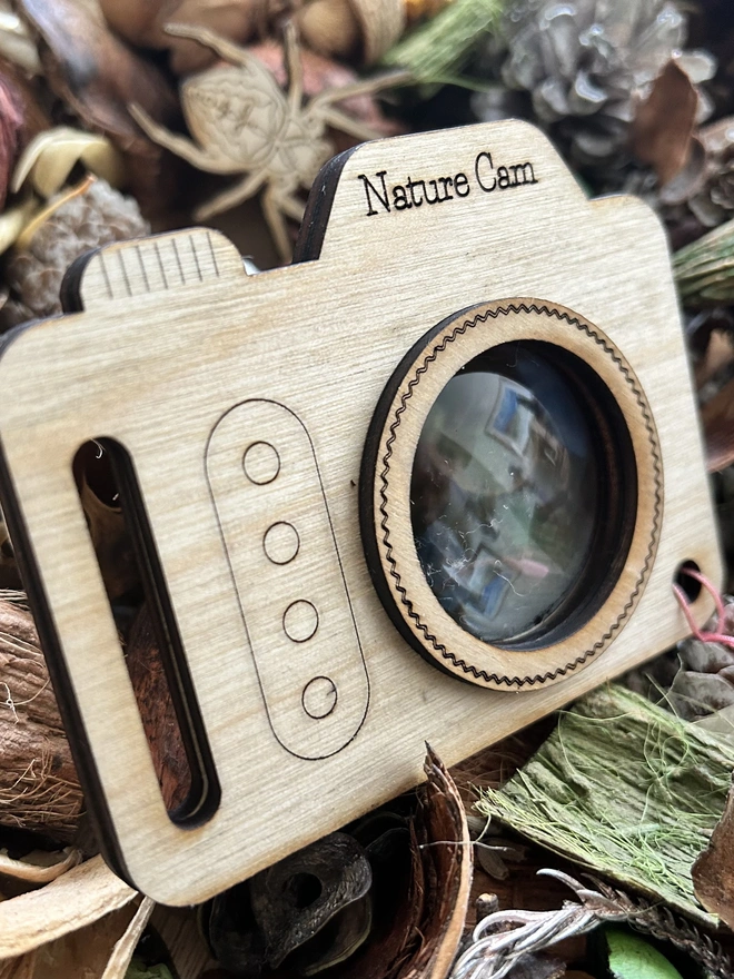 Front of nature camera on a forest floor