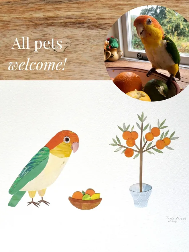 All pets welcome! An example of a parrot pet portrait by Lianne Harrison made in collage