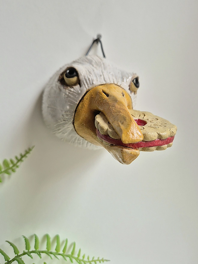 Seagull With Jammy Dodger