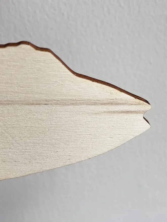 wooden fish wall decoration. close-up image of back of wooden fish wall decoration.