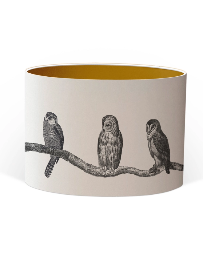 Handmade vintage owl lampshade featuring a parliament of illustrated owls perched together, created from antique animal etchings with monochrome details
