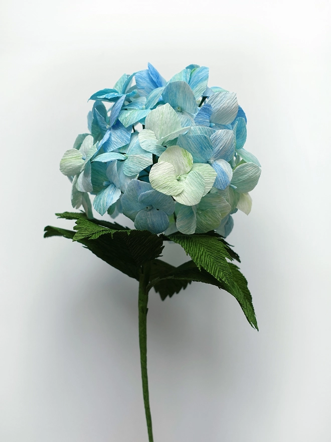 Crepe Paper Hydrangea DIY Kit