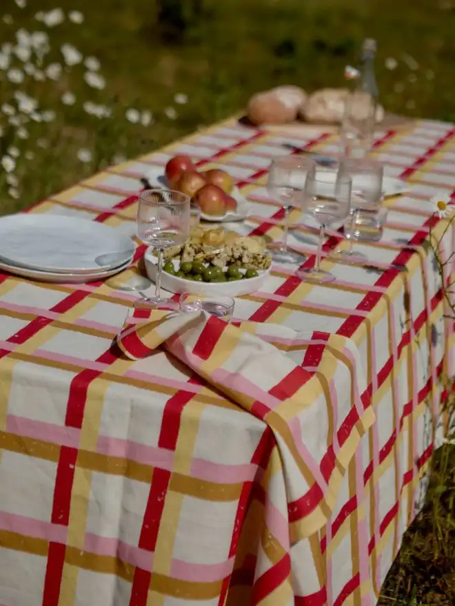 Red, sand, pink and yellow gingham tablecloth in a field