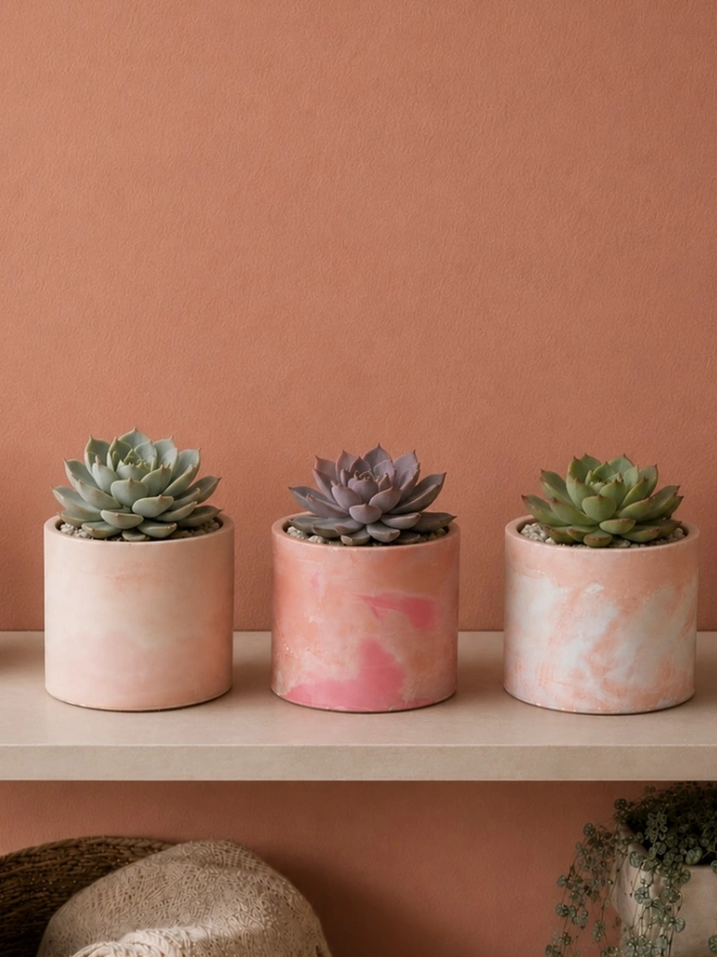 Small Planter