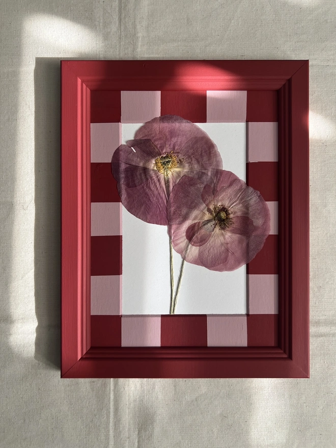 pressed poppy flowers in hand painted red frame