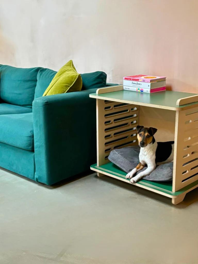 parsons terrier inside sage green wooden dog crate