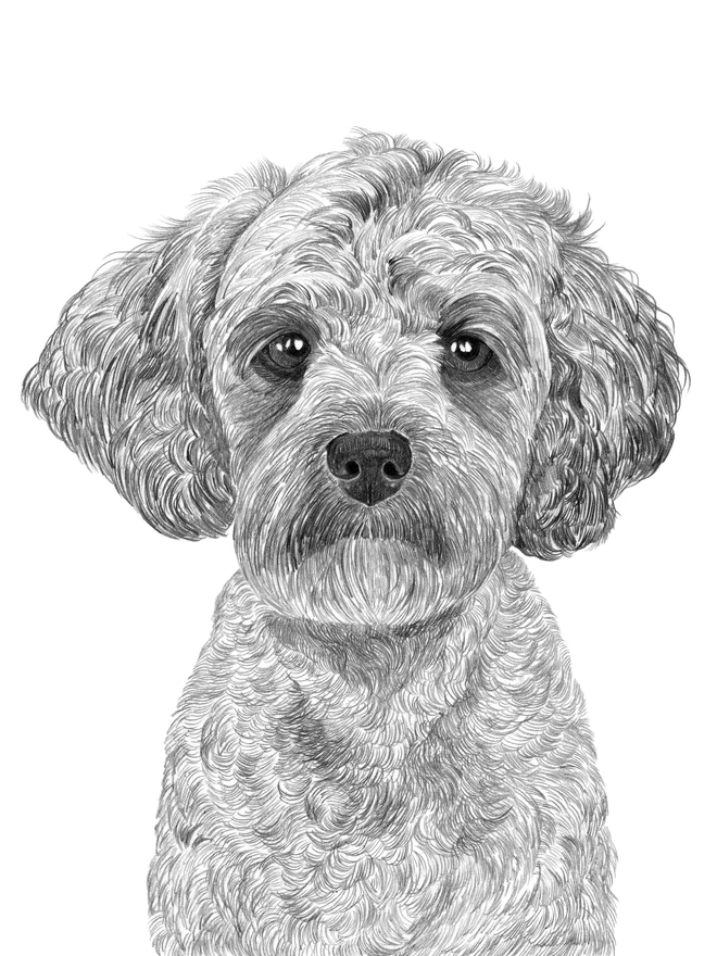 Detail of fluffy puppy art print