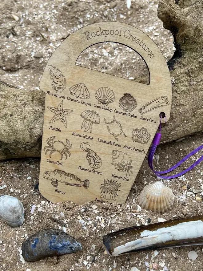 Wooden rockpool creature ID bucket board with engraved sea life illustrations and labels, lying on sand beside driftwood with a purple strap.
