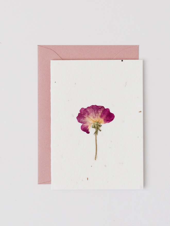 Pressed Flower Notecard, Dog Rose