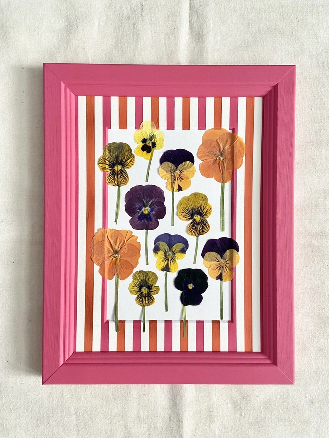 pressed pansy flowers in painted pink wooden frame