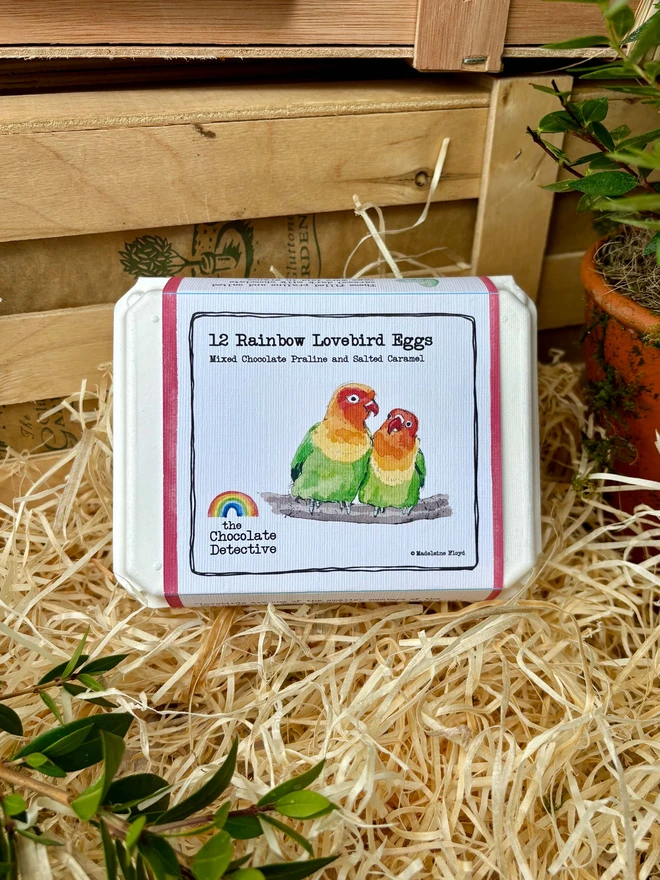 A box of The Chocolate detective Rainbow lovebird chocolate eggs on a bed of wood wool in front of the Greedy Gardeners' wooden gifting crate