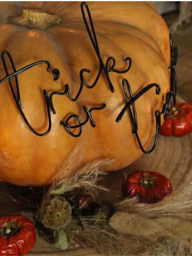 Trick or treat sign on an orange pumpkin