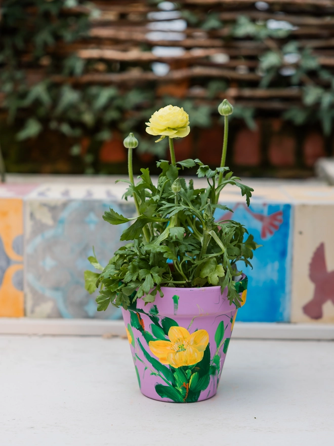 Hand painted pink plant pot with plant inside on an outdoor table