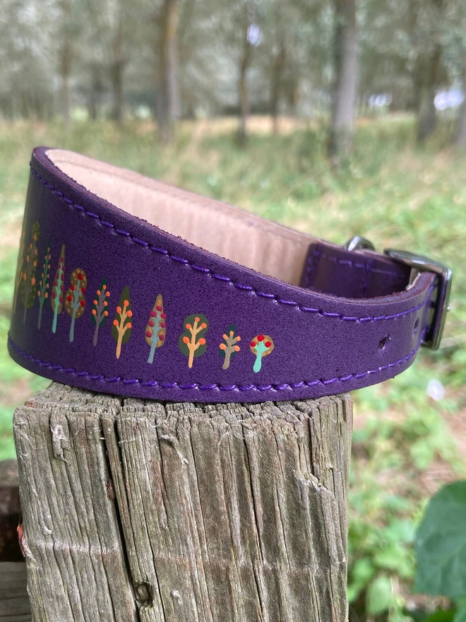 purple painted leather dog collar