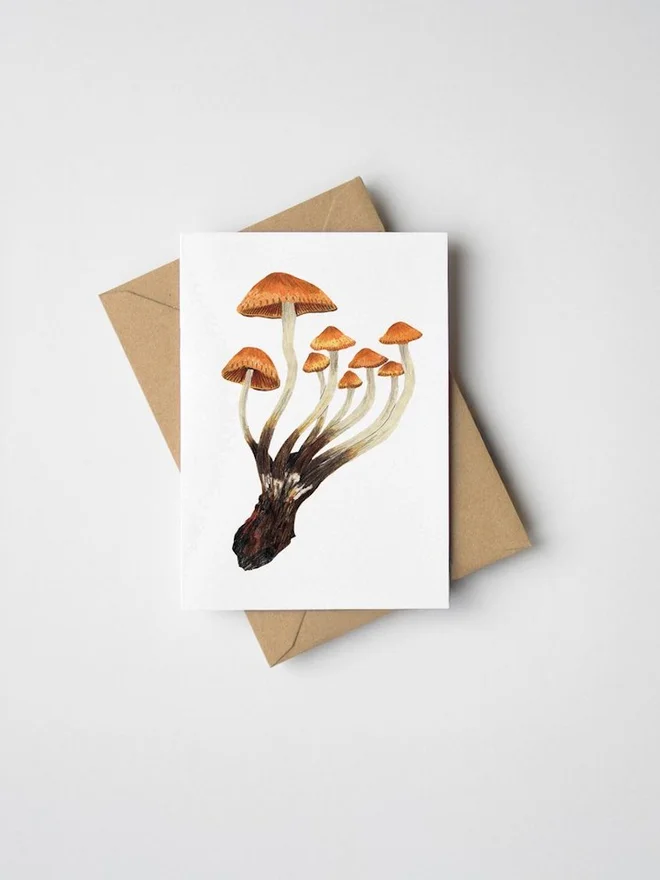 Mini Chestnut Mushrooms Greeting Card