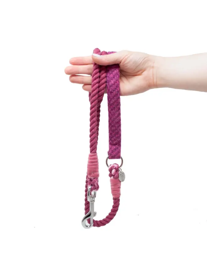 pink rope dog lead being held in a hand on a white background