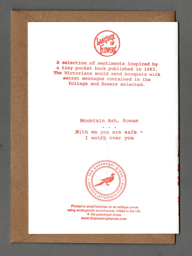 Scan of back of card with text printed thereupon. Language of Flowers. A selection of sentiments inspired by a tiny pocket book published in 1883. The Victorians would send bouquets with secret messages contained in the foliage and flowers selected. Mountain Ash, Rowan - With me you are safe, I watch over you. Included brown envelope enfolded