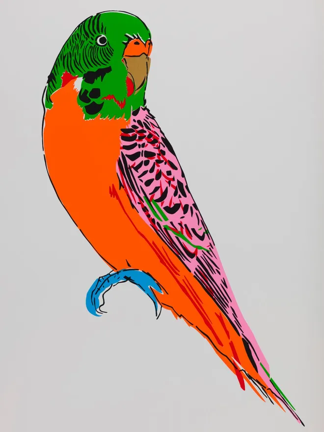 Budgerigar Screenprint - Orange